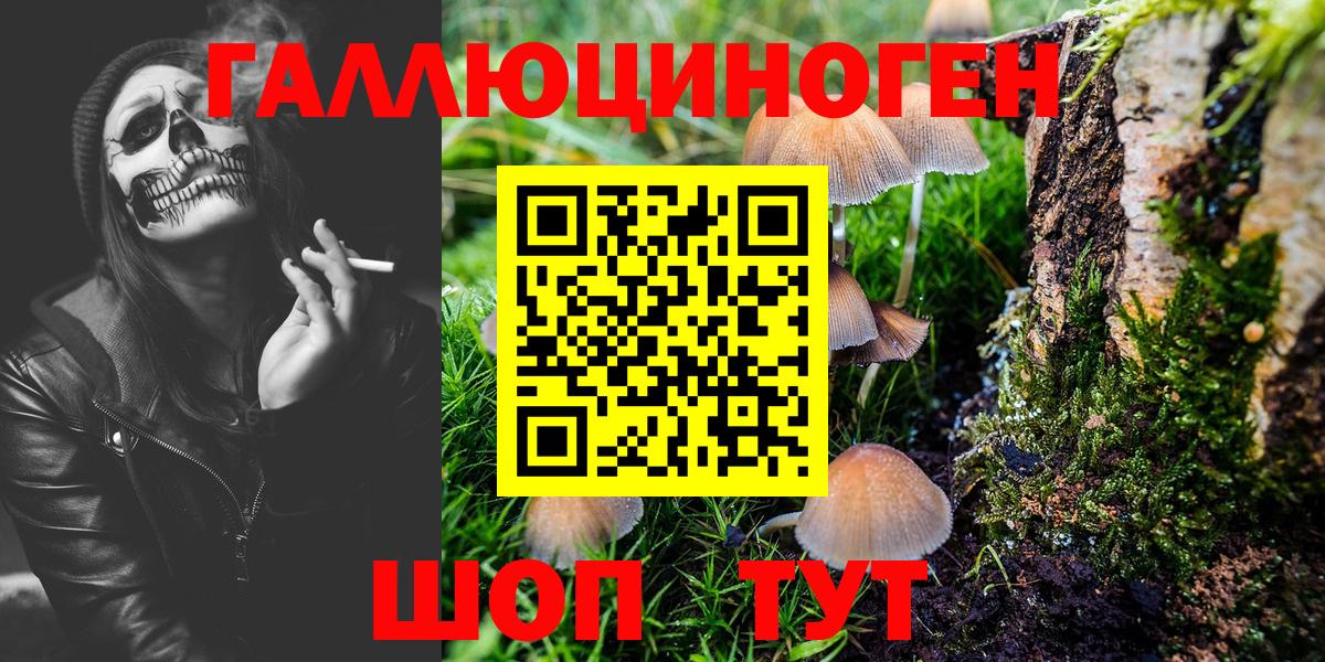 Псилоцибиновые грибы Psilocybine cubensis Заволжье